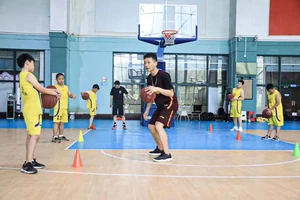 如何找到专业教练进行规范篮球训练:全面指南与实用建议